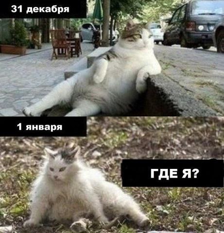    :D - 2  2015  09:32