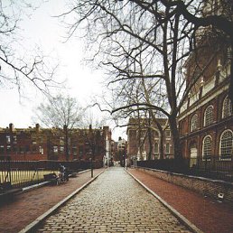 ����, �����-���������, 22 ����