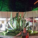 ���� ������ ��������, ������, 66 ��� - ��������� 9 ������� 2015 � ������ ���� ����������