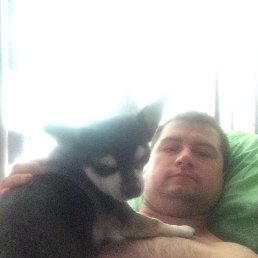 �������, ������, 42 ����