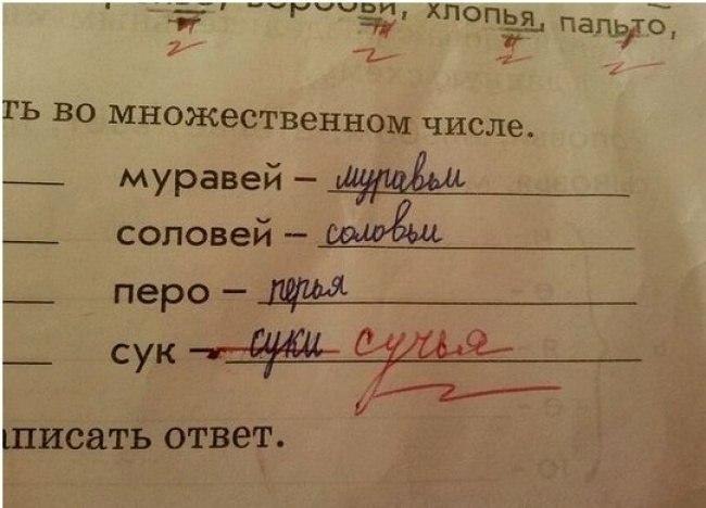     - 5  2016  20:20