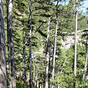  , , 60  -  5  2016     2015