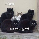  , -- -  12  2016    