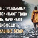 ���� Nelli, ������ - ��������� 1 ������� 2015 � ������ ������ ��������