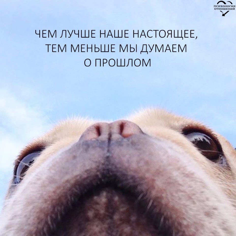   - 17  2015  09:14