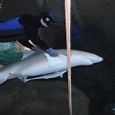 ���� �������, ���������, 45 ��� - ��������� 9 ������� 2015 � ������ ���� ����������