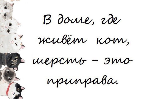       - 10  2015  07:32