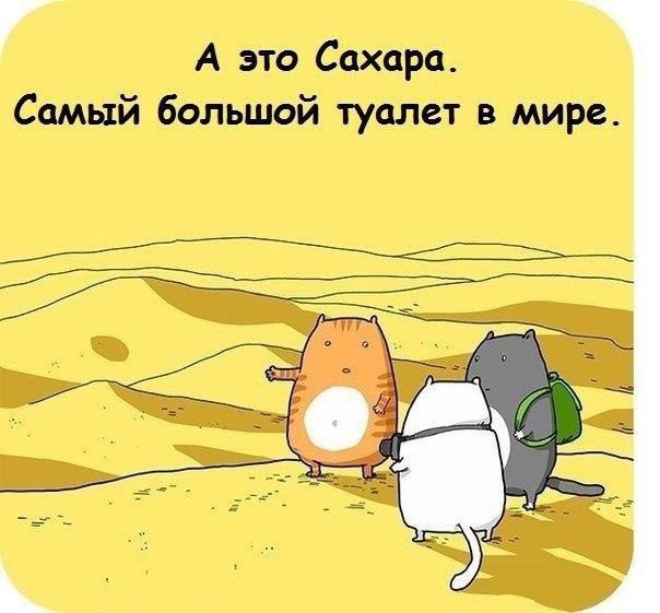  - 8  2015  19:54