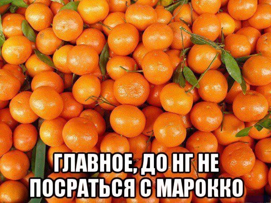     - 1  2016  08:34