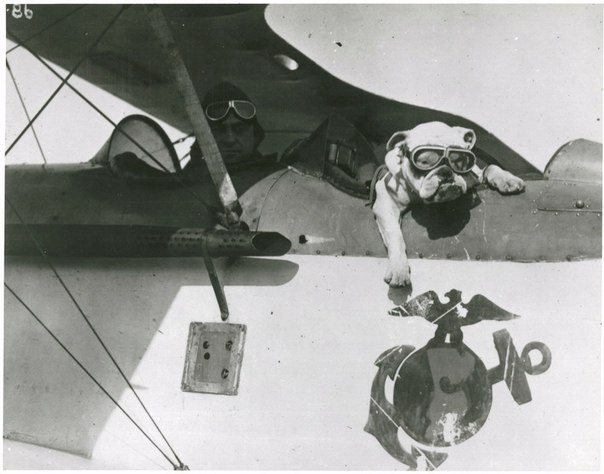  Jiggs,     , 1924 .