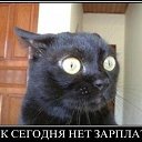���� Fjodor, ������, 40 ��� - ��������� 6 ����� 2016