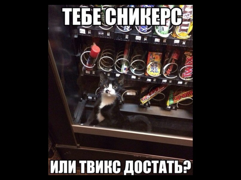 -  - 19  2016  16:55