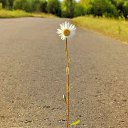 ���� ������, �����, 46 ��� - ��������� 22 ������� 2015