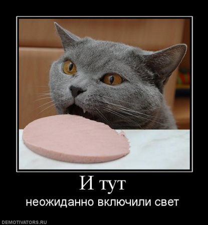 ***Victoria Viktorovna*** - 28  2016  08:15