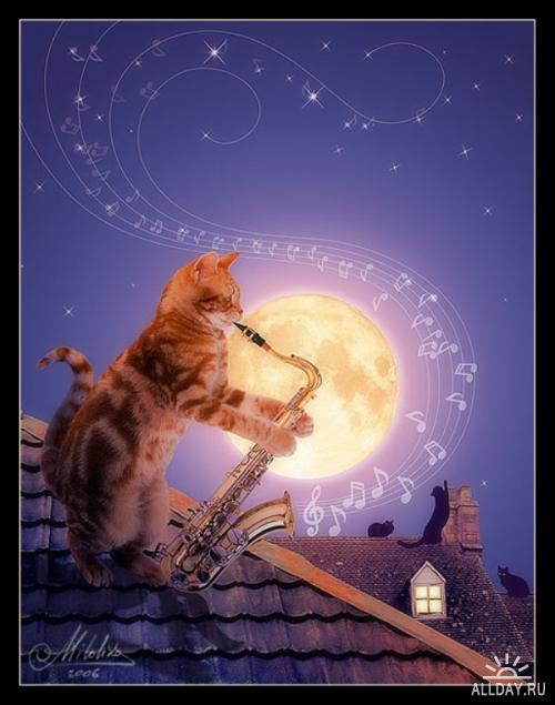 Кот и Саксофон.Алекс ОгинскийПесня "Кот и Саксофон".1. Ночные улицы в объятьях тишины ...