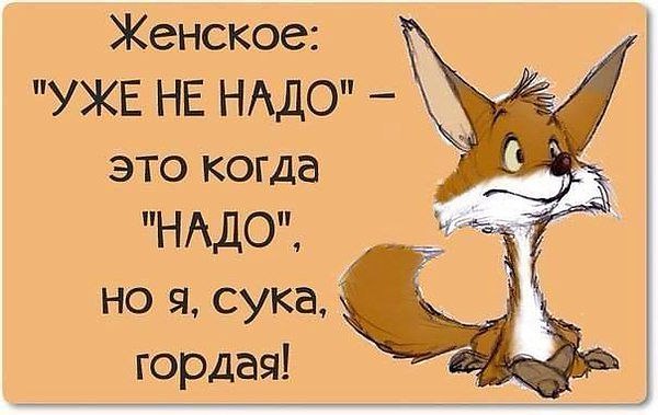   - 24  2015  02:58