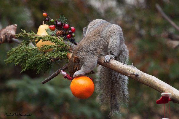   - 16  2015  18:09 - 6