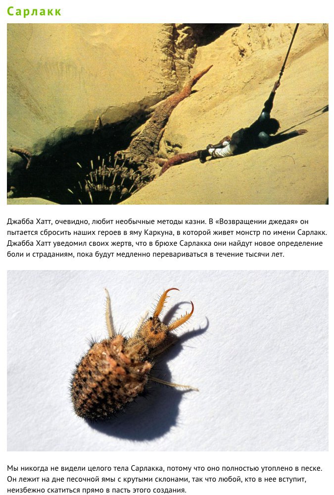    ,       - 6