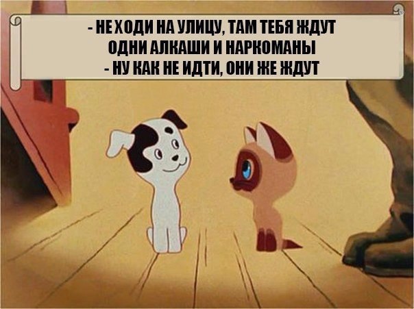 ,     ;)