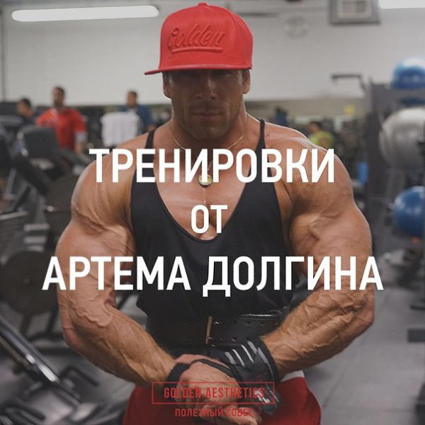 Тренировки Артёма Долгина. Сохрани себе на стену, чтобы не потерять! ГРУДЬ 1) Жим штанги лежа: 5х8; ...
