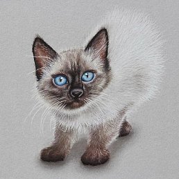 1, ��������, 61 ���