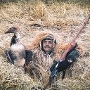 ���� ��������, �����������, 56 ��� - ��������� 17 ������� 2015 � ������ ���� ����������