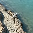 ���� ������, ���������, 45 ��� - ��������� 12 ������� 2015 � ������ �������....�������