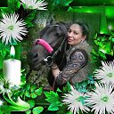  ,  , 46  -  17  2016    