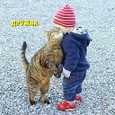 ���� �������, ��������, 76 ��� - ��������� 19 ������ 2015 � ������ ������ ��������