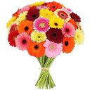 ���� �������, ������, 38 ��� - ��������� 20 ������ 2016 � ������ ���� ����������