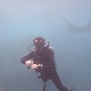 ���� ��������, ������ - ��������� 24 ������ 2015