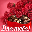 ���� �������, ������ - ��������� 18 ������ 2016 � ������ �������� ��������