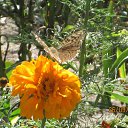 ���� ����, ���������, 65 ��� - ��������� 28 �������� 2015 � ������ ���� ����������