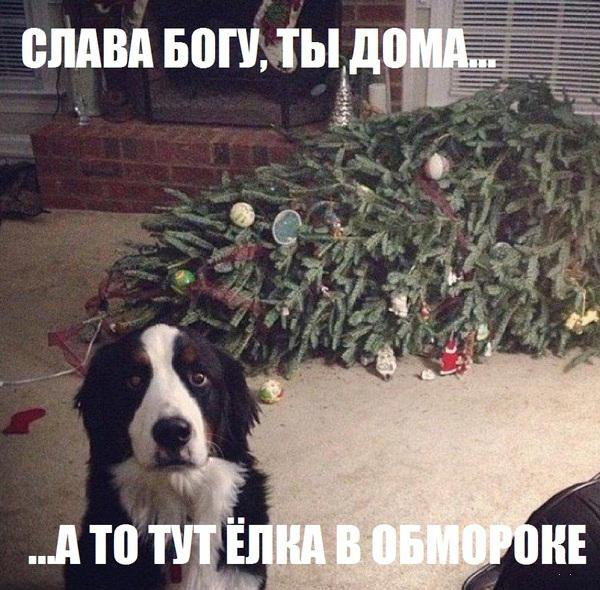 Актуально :)