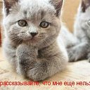 ���� Alekcandr, ������ - ��������� 29 �������� 2015 � ������ ���� ����������