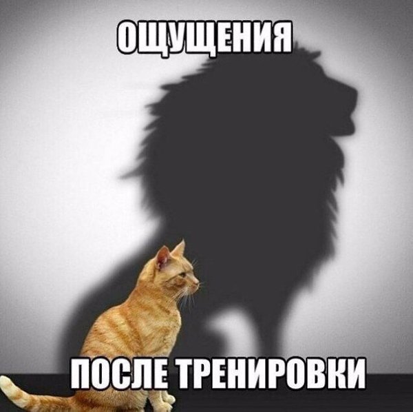  | , ,  - 26  2015  19:19