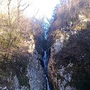  , , 51  -  1  2016   ,  