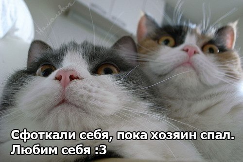    - 13  2015  12:11