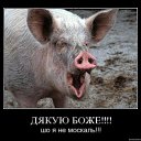���� �����, ������ - ��������� 27 ������� 2015 � ������ ������ ��������