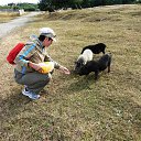  , , 60  -  5  2016     2015