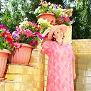 ���� ���, �����-���������, 55 ��� - ��������� 1 ������ 2016 � ������ ���� ����������