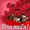 ���� ������, ������� - ��������� 14 ������� 2015 � ������ �������� ��������