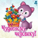 ���� ���������, �����������, 62 ���� - ��������� 22 ������� 2015 � ������ �������� ��������