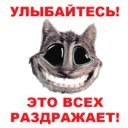  Andrei, , 42  -  14  2016    
