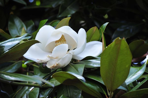   - 27  2016  22:51 - 31