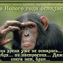 ���� ���������, ������ - ��������� 28 ������� 2015 � ������ ���� ����������