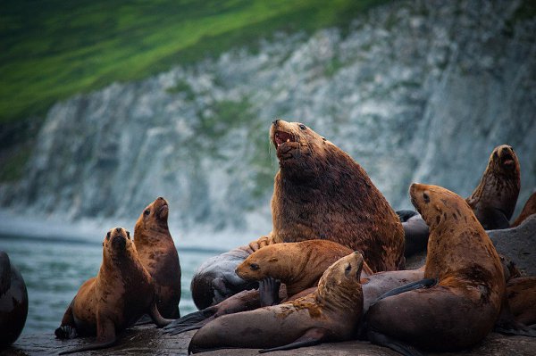 В объективе лучшие фотографии августа 2015-го от журнала National Geographic и National Geographic ... - 9