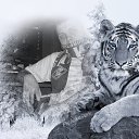 ���� �������, ������, 44 ���� - ��������� 1 ������� 2015 � ������ ���� ����������