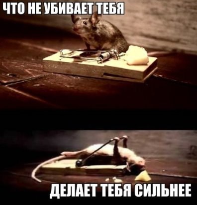  - 18  2016  15:51
