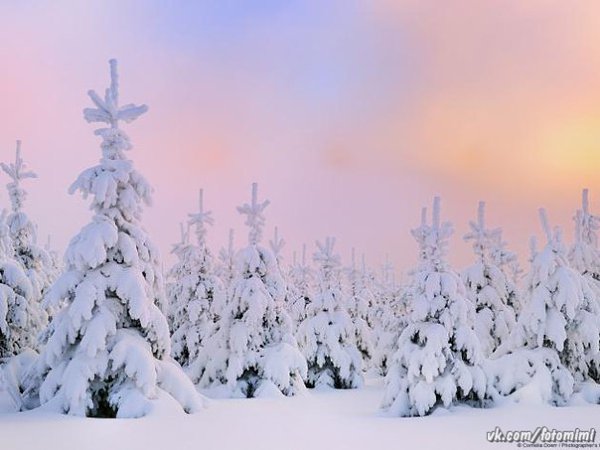 И будет февраль. Будут вьюги скулить у порога. И окна зажгутся. И свет будет – тёплая медь. Наверно, ...
